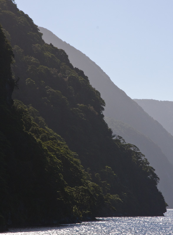 Forest Covered Cliff